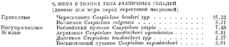 Род каспийско-черноморские сельди. Caspialosa (часть 1)